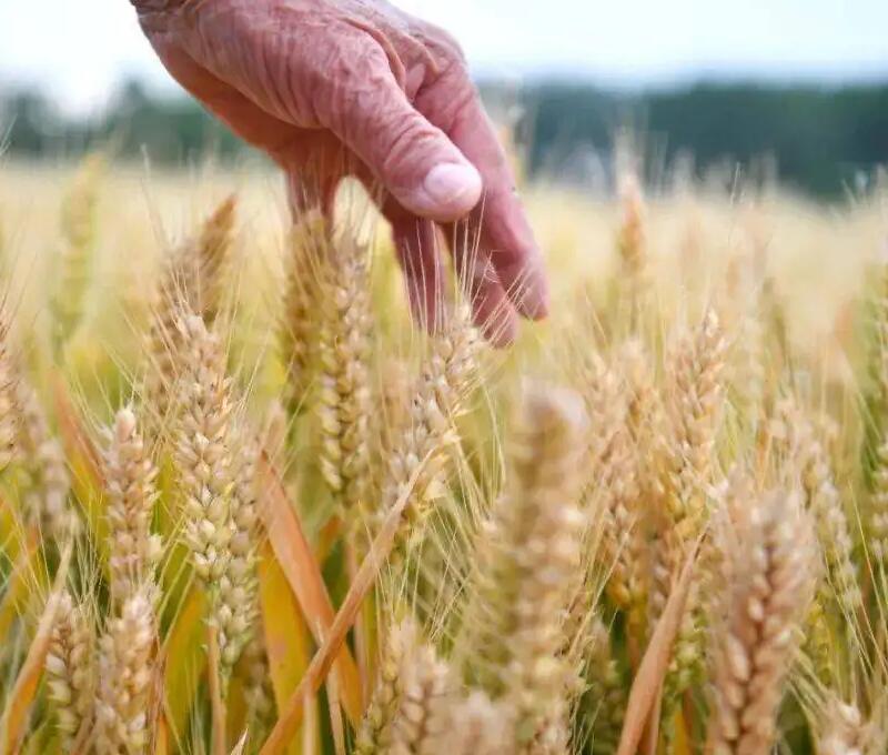 1649252429671138.jpg 1649252429671138.jpg