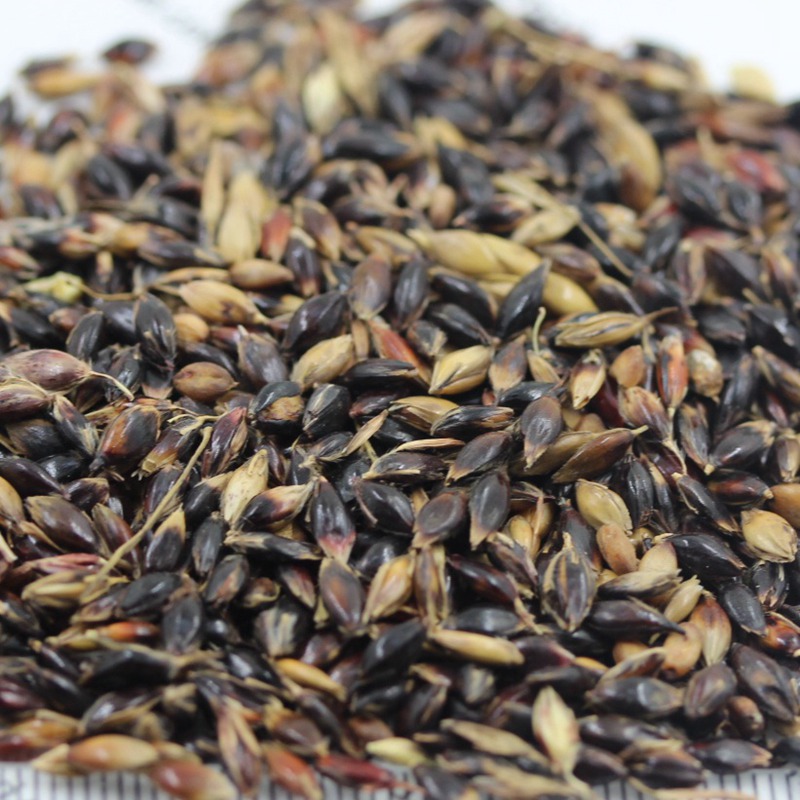 1649294636380099.jpg 1649294636380099.jpg