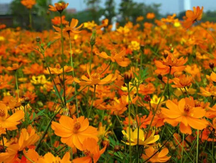 1649423763790331.jpg 3.jpg