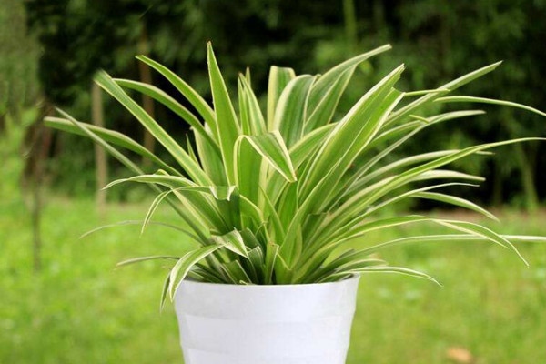 1649585539769207.jpg f5e26b9372ba75ed658622a27bab2139_1-1ZH41JQ3352.jpg