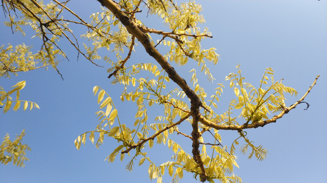 1649586038951270.jpg 1649586038951270.jpg