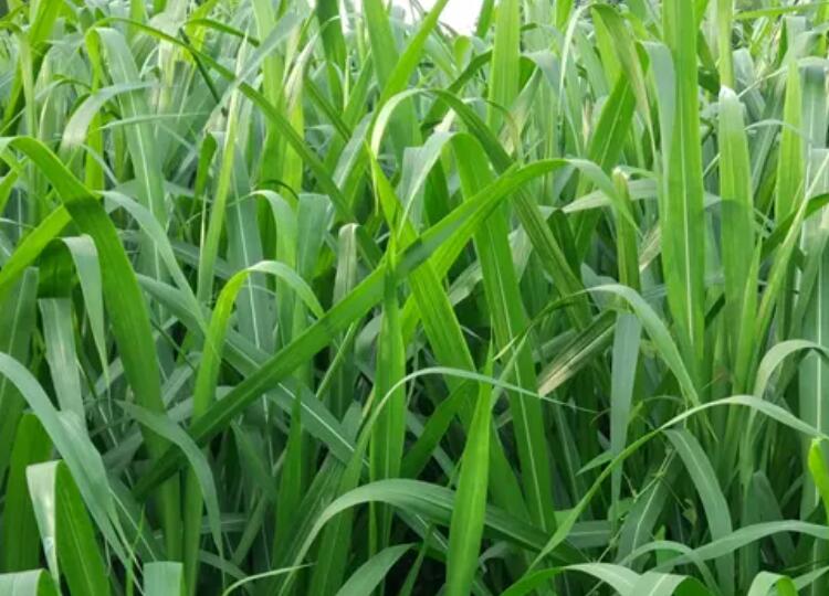 1649657649342178.jpg 3.jpg