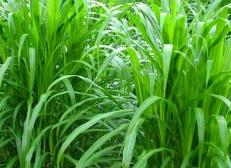 1649658337392394.jpg 2.jpg