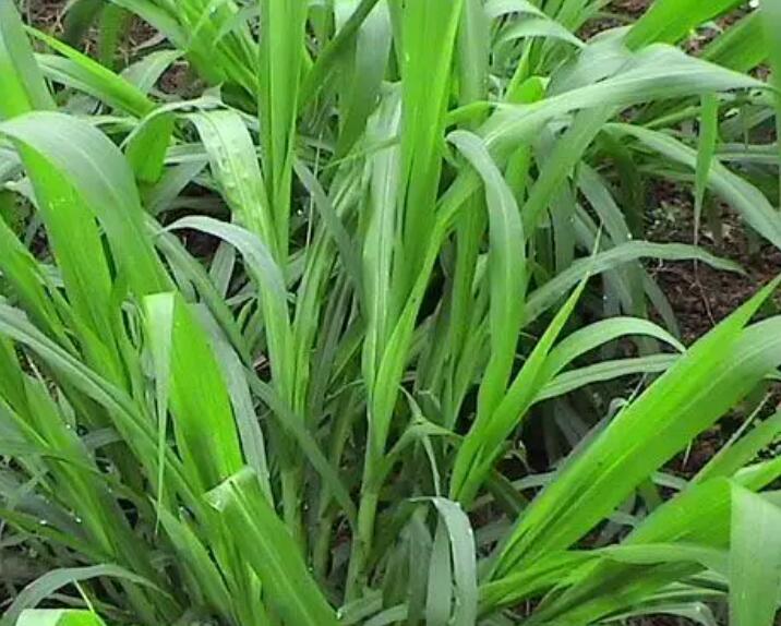 1649771746731370.jpg 2.jpg