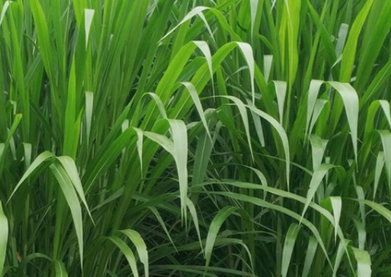 1649771755248980.jpg 3.jpg