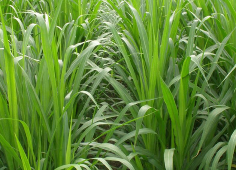 1649831962311578.jpg 3.jpg