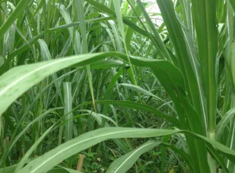 1650120221838143.jpg 3.jpg