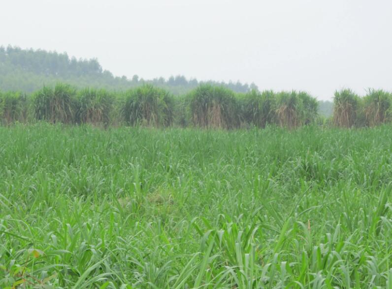 1650161590201935.jpg 3.jpg