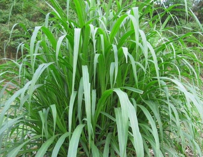 1650201293345835.jpg 1650201293345835.jpg