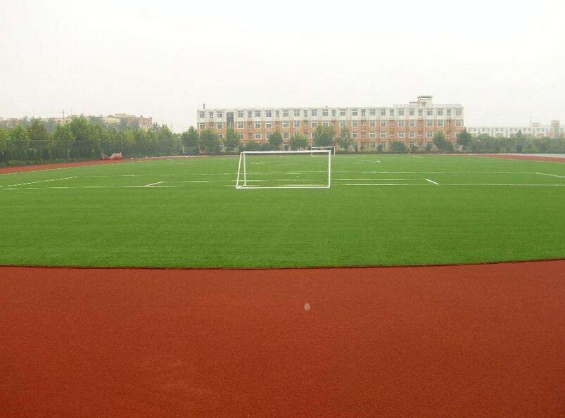 1650205089310474.jpg 1650205089310474.jpg