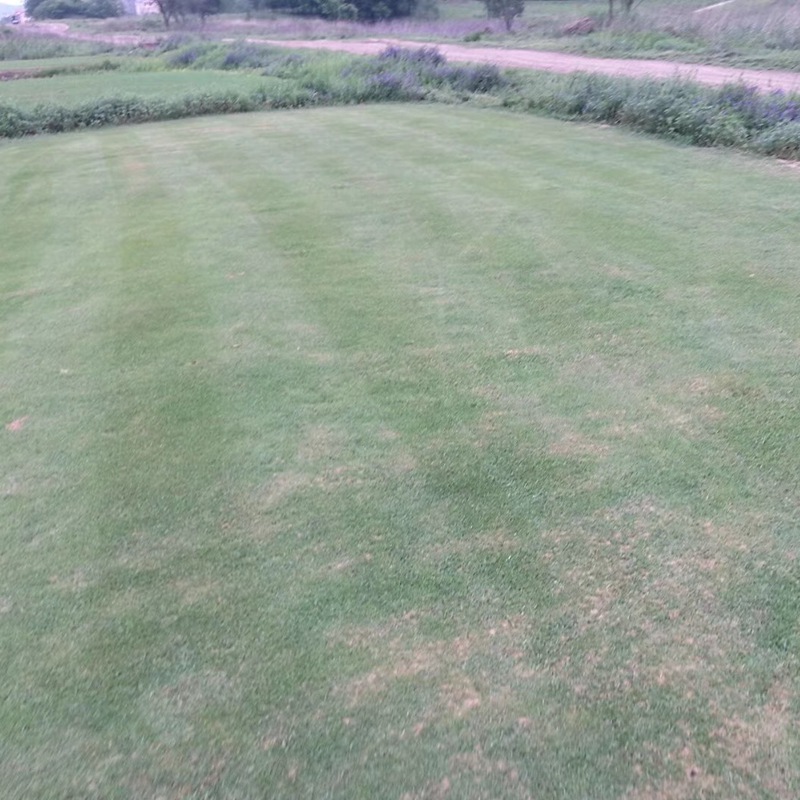 1650205277986038.jpg 1650205277986038.jpg