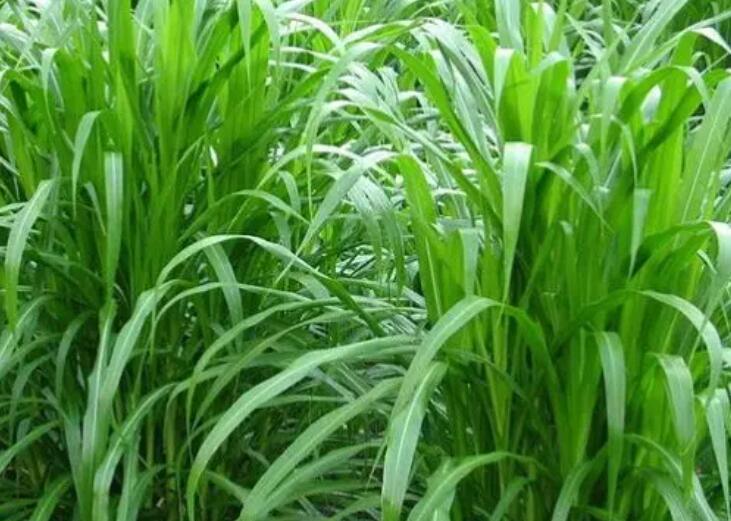 1650258338732094.jpg 1.jpg