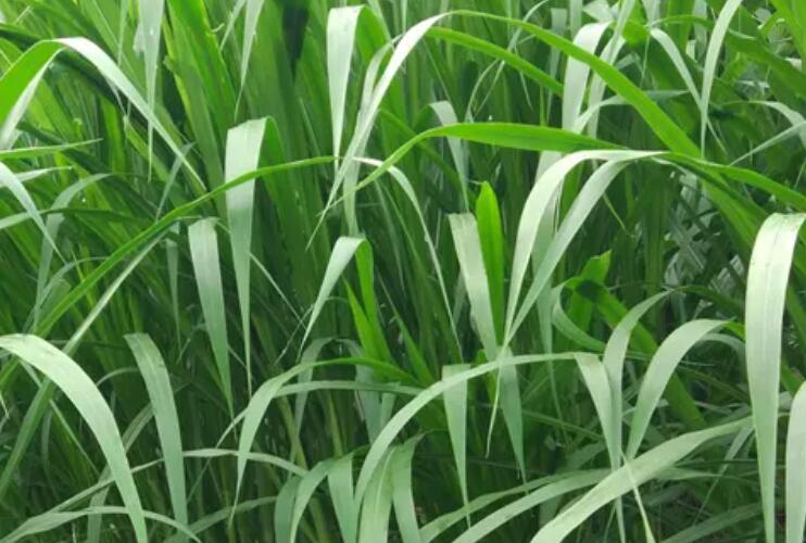 1650258356795289.jpg 3.jpg