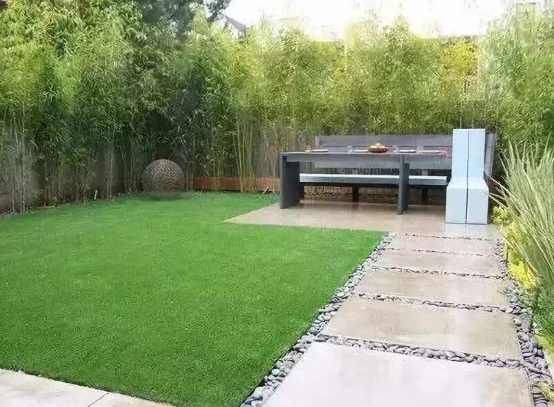 1650272498499544.jpg 1650272498499544.jpg