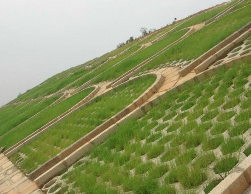 1650272984123624.jpg 1650272984123624.jpg