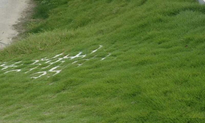 1650272984393858.jpg 1650272984393858.jpg