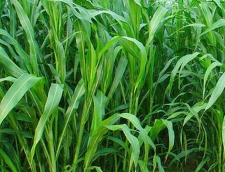 1650629964189349.jpg 1650629964189349.jpg