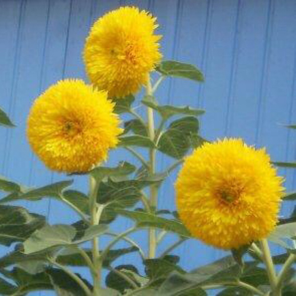 1651298964760912.jpeg 1651298964760912.jpeg