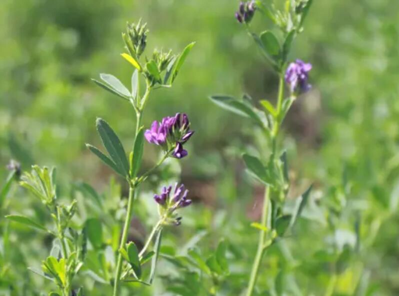 1651759935851638.jpg 3.jpg