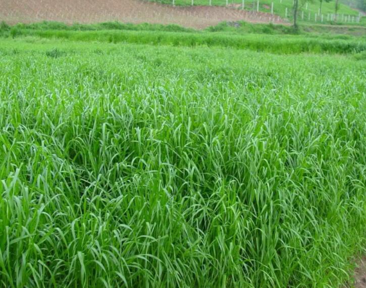 1651837363510682.jpg 1651837363510682.jpg