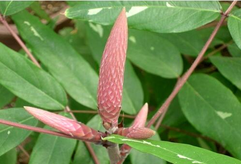 1651922178102604.jpg 1651922178102604.jpg