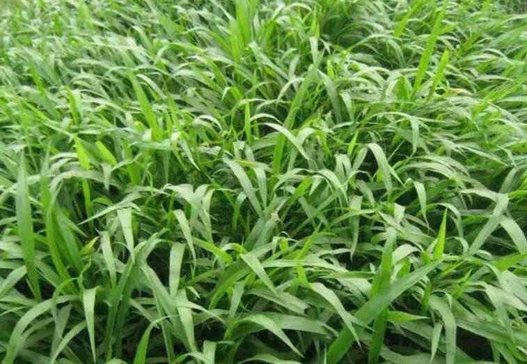 1652276045220176.jpg 3.jpg