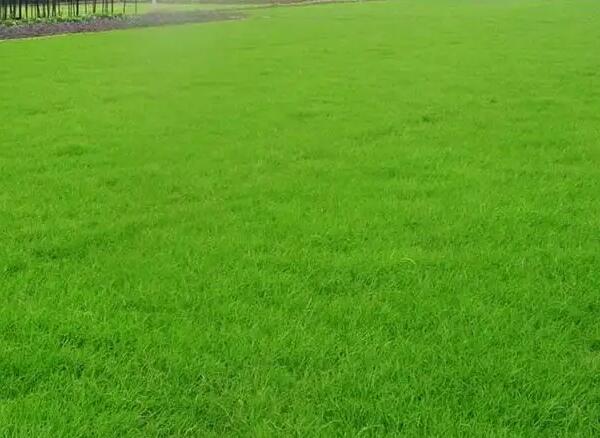 1657101939392037.jpg 1657101939392037.jpg