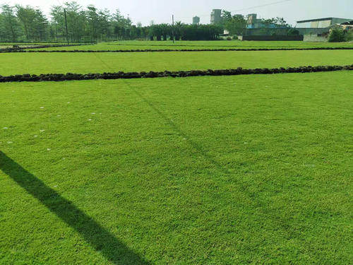 1657196610790049.jpg 1657196610790049.jpg