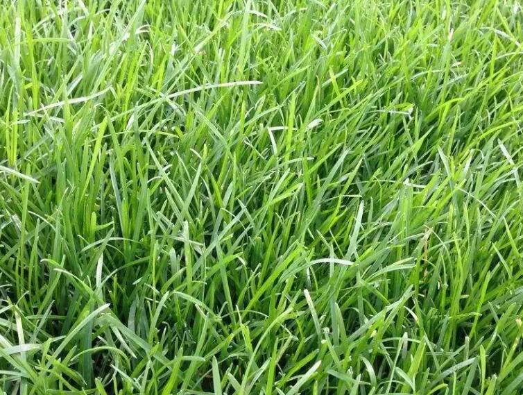 1657630398425953.jpg 1.jpg