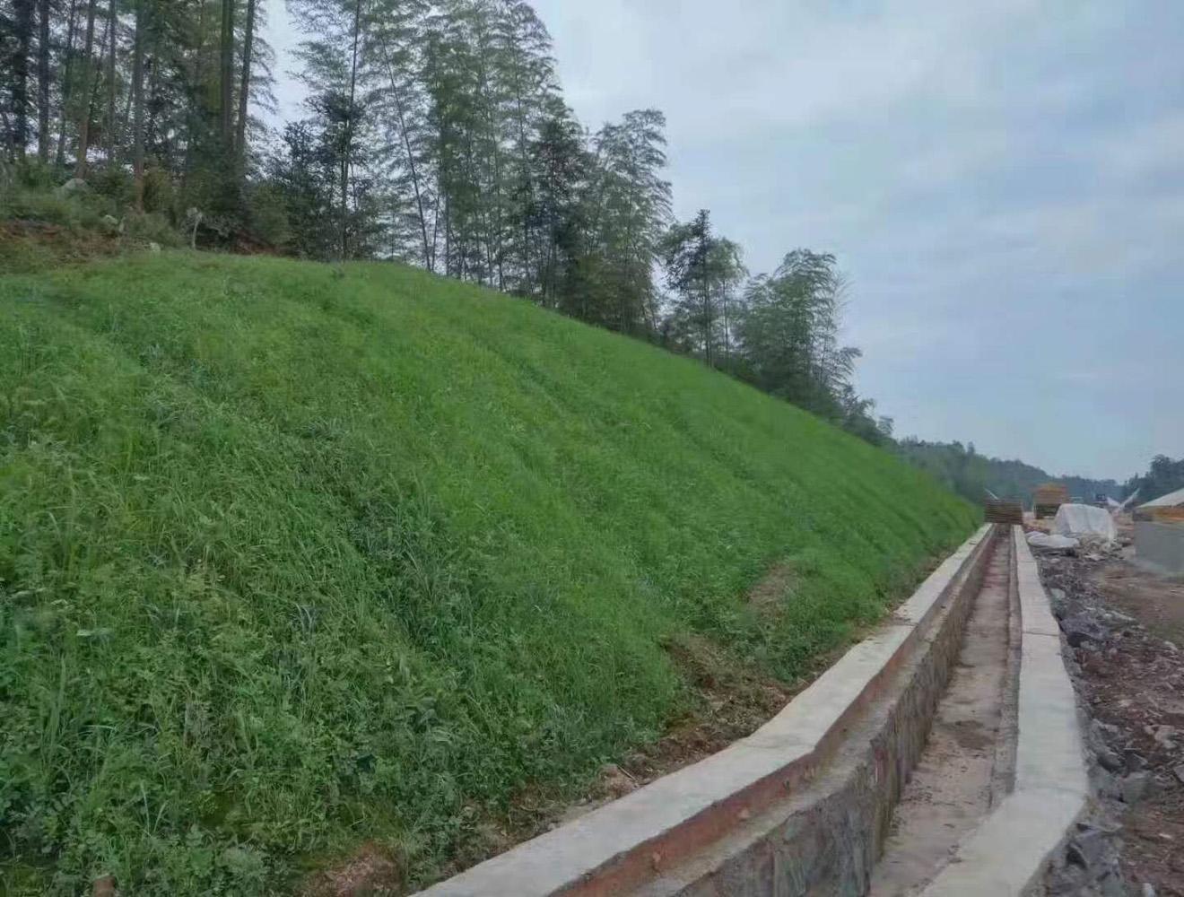 1658054444671281.jpeg 1658054444671281.jpeg