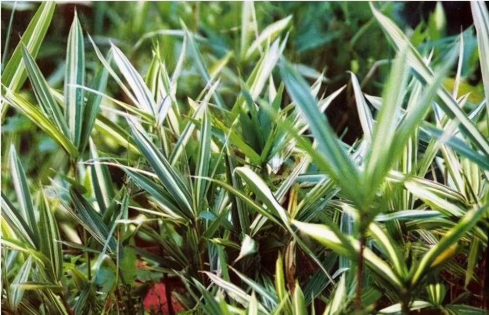 1658794587229080.jpeg 1658794587229080.jpeg