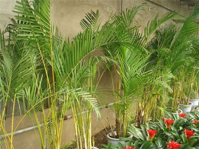 1659093820586882.jpeg 1659093820586882.jpeg