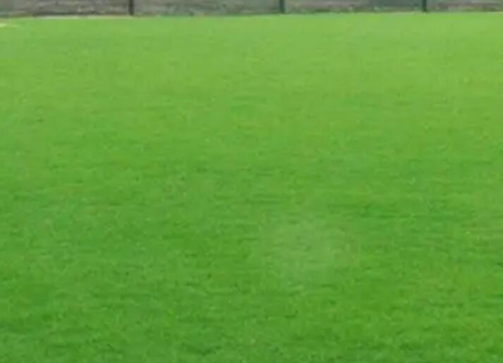 1659452769648321.jpg 1.jpg