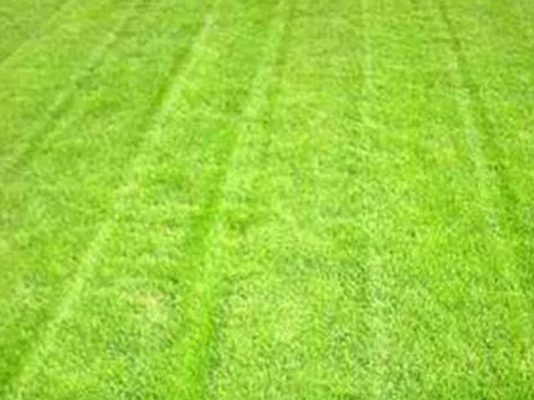 1659452777646957.jpg 2.jpg