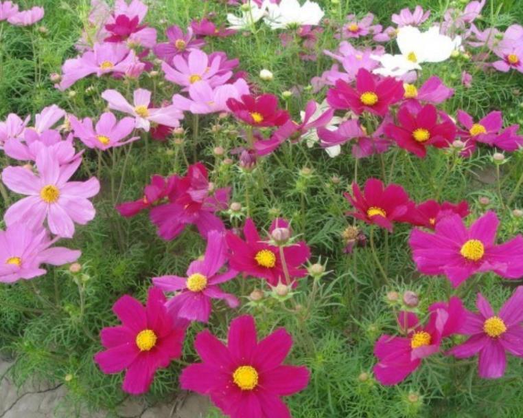 格?；?/></p><p style=