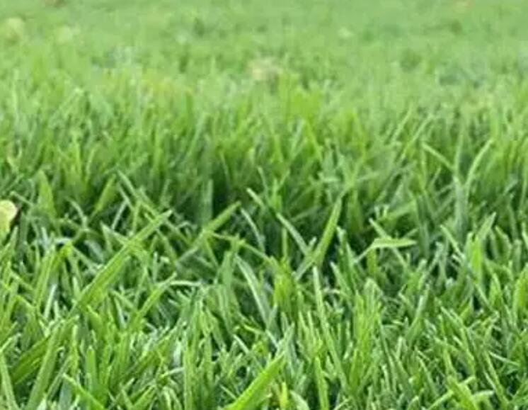 1661090080770938.jpg 2.jpg