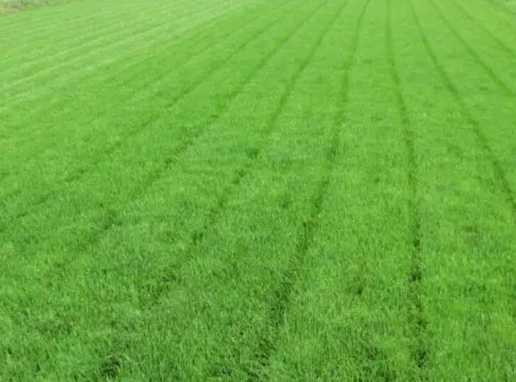 1661351090778025.jpg 8888.jpg