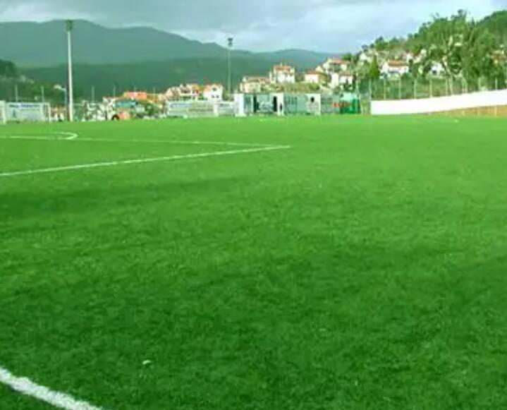 1661526768424285.jpg 3.jpg