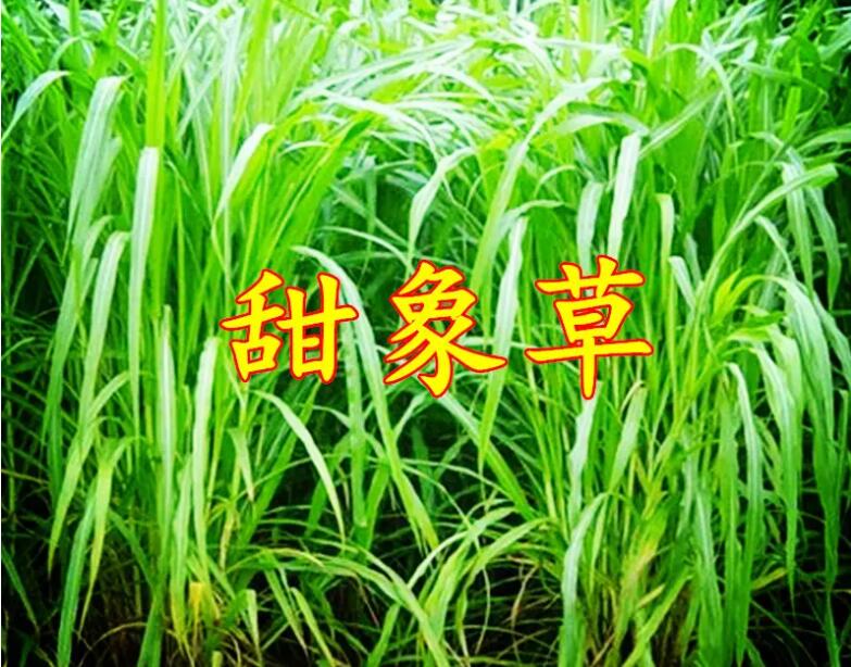 1661916635682484.jpg 1661916635682484.jpg