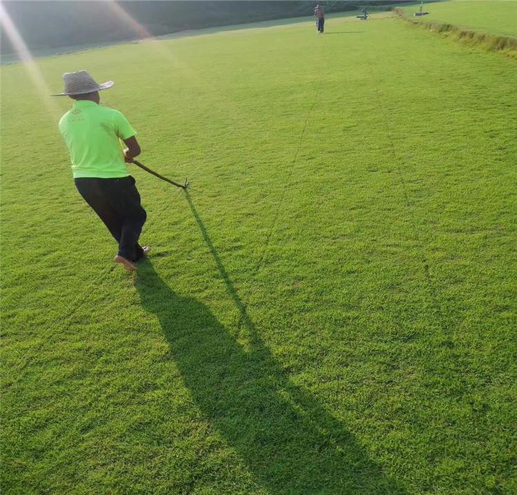 1671003321369716.jpg 1671003321369716.jpg