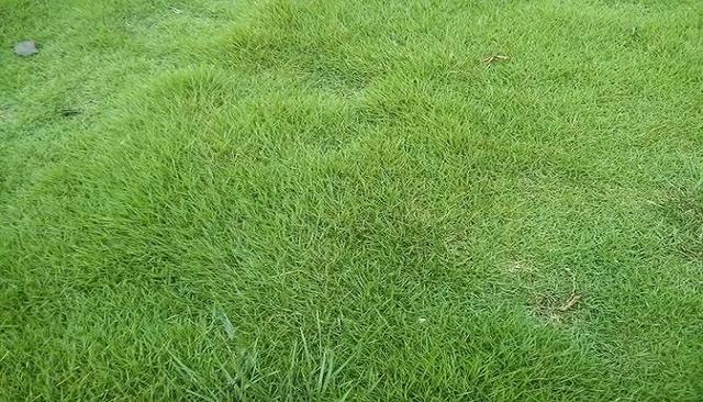 1671005876329687.jpeg 1671005876329687.jpeg