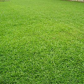 1671005876790537.jpeg 1671005876790537.jpeg