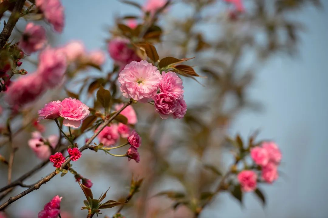 微信圖片_20221101160125.jpg 微信圖片_20221101160125.jpg