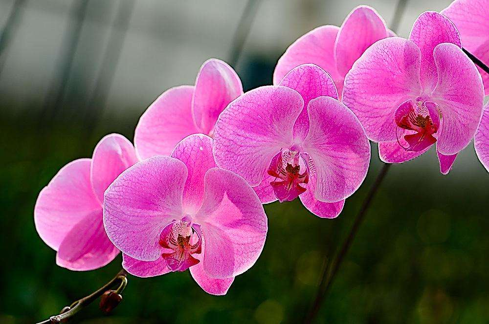 1678430542499137.jpeg 1678430542499137.jpeg