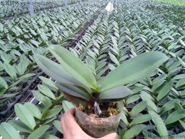 è??è????°?§???????è???°?è????????